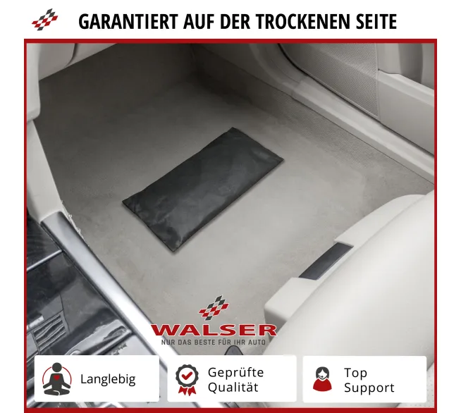 WALSER Auto-Entfeuchter 500 g gegen Feuchtigkeit und beschlagene Scheiben