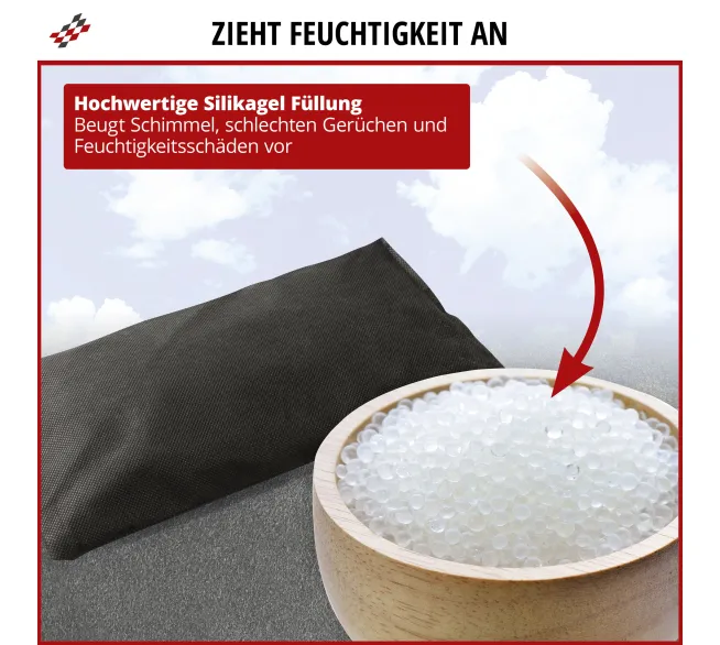WALSER Auto-Entfeuchter 500 g gegen Feuchtigkeit und beschlagene Scheiben