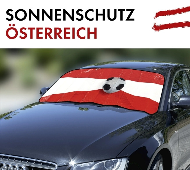 WALSER_Sonnenschutz_Frontscheibe_130x60cm_21167140-3