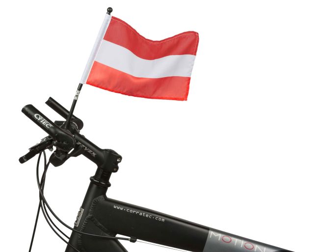 WALSER Fahrrad Fahne