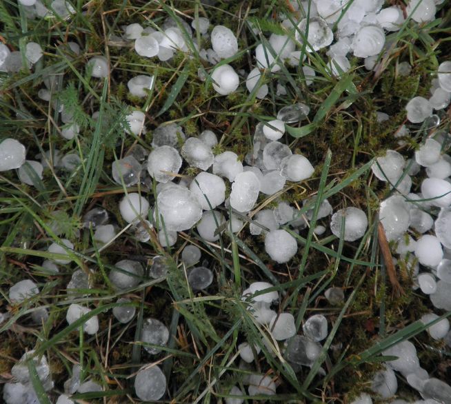Hagel-1